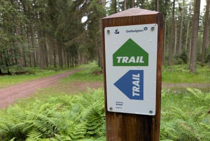 panneaux de trail sur un sentier forestier
