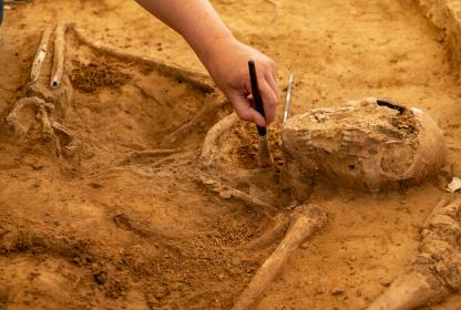 main d'archéologuee nettoyant un vestige au pinceau