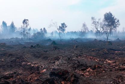 incendies dans les Fagnes