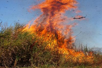 incendie de forêts