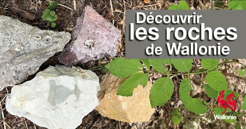 les rochers wallons