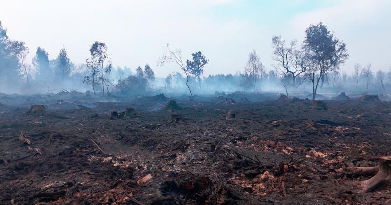incendies dans les Fagnes