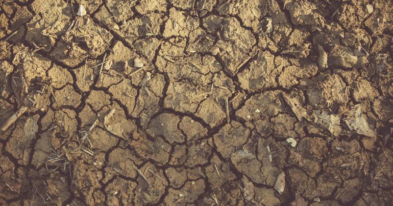 sécheresse