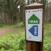 panneaux de trail sur un sentier forestier