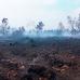 incendies dans les Fagnes
