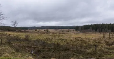 Fagnes
