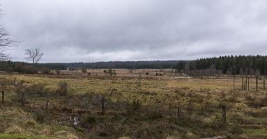 Fagnes