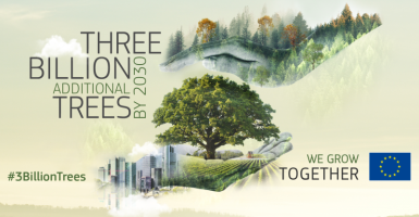 Three billions trees