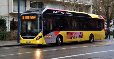 Bus