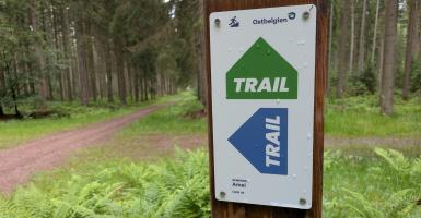 panneaux de trail sur un sentier forestier