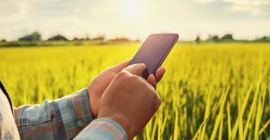 Enquête agriculteurs