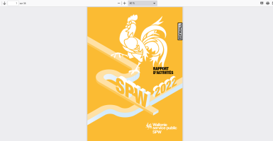 rapport d'activités 2022