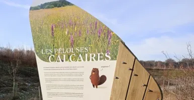 Frayère de Lahaye