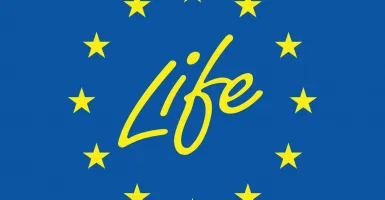 logo Life