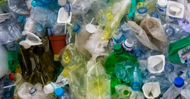 déchets plastiques