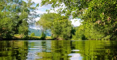 cours d'eau