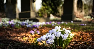 cimetière