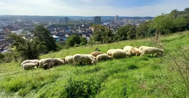 BiodiverCité