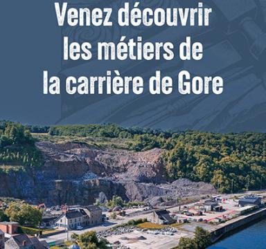 Affiche métiers de la carrière de Goree