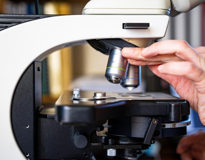 public://2026-02/LaboratoireDemna _AlainCoppens_22_AlainCoppens_04_Metiers__DSC6138.JPG