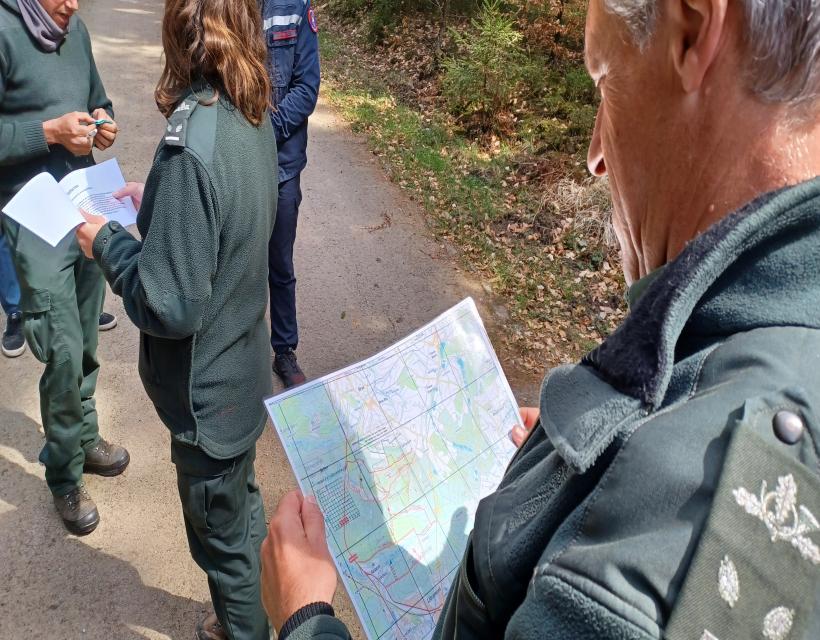 forestiers en formation