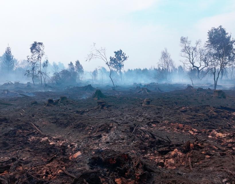 incendie dans les Fagnes